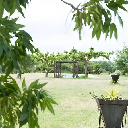 Caliro Rabos