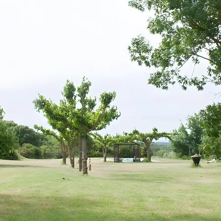 Caliro * Rabos